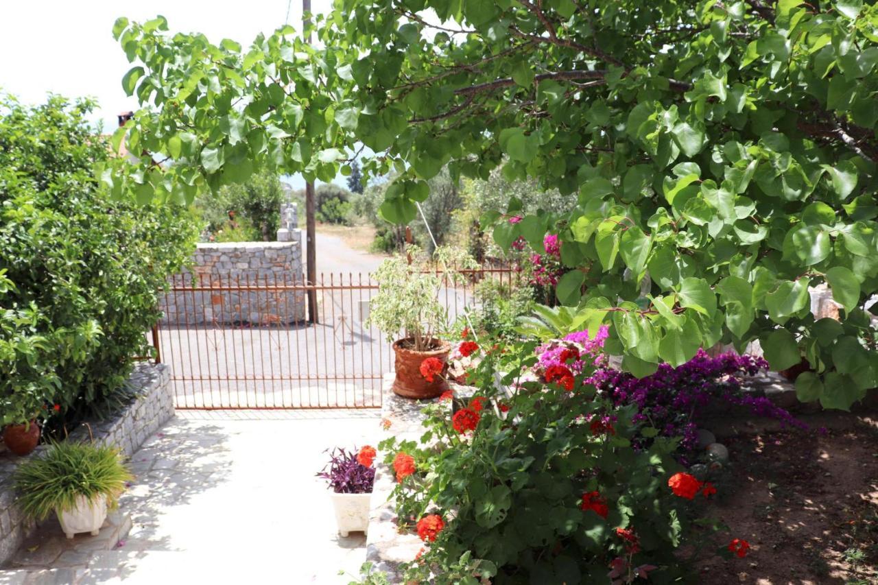 Villa Amanda Selinitsa Exterior foto